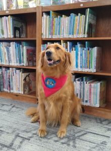 Rosie Posey the Therapy Dog